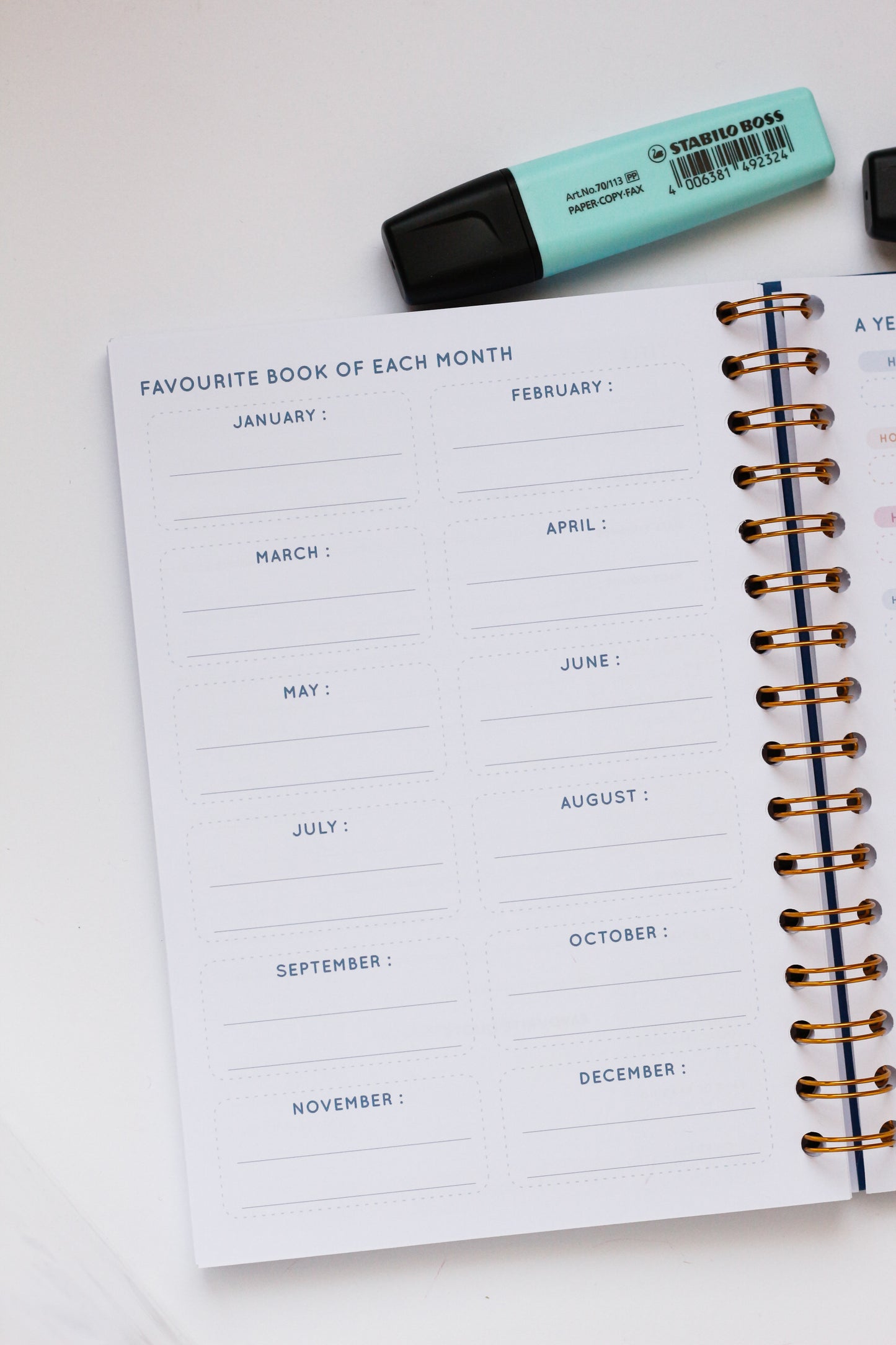 Dragon Reading journal - Spiral notebook to write your book reviews