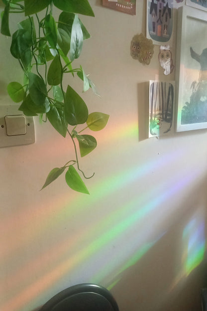 Dancing Dog Suncatcher - Rainbow window cling