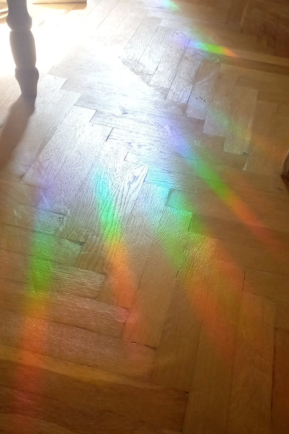 Dancing Dog Suncatcher - Rainbow window cling