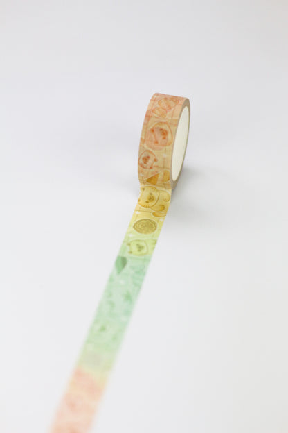 Rainbow Candies - Candy washi tape - Cute washi tape